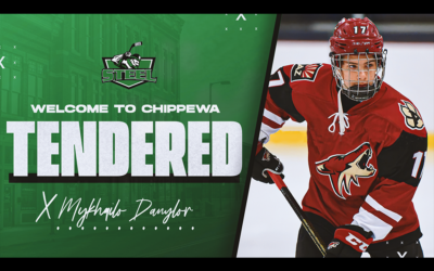 Steel Tender Ukrainian Born Mykhailo Danylov